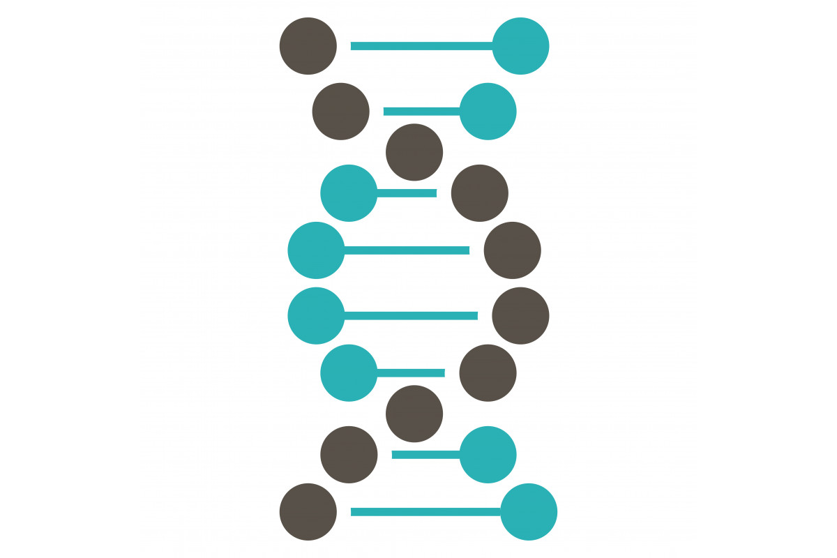 ДНК-тест GENOM 25