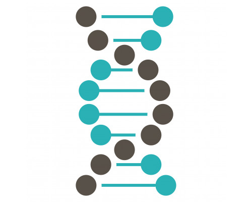 ДНК-тест GENOM 25